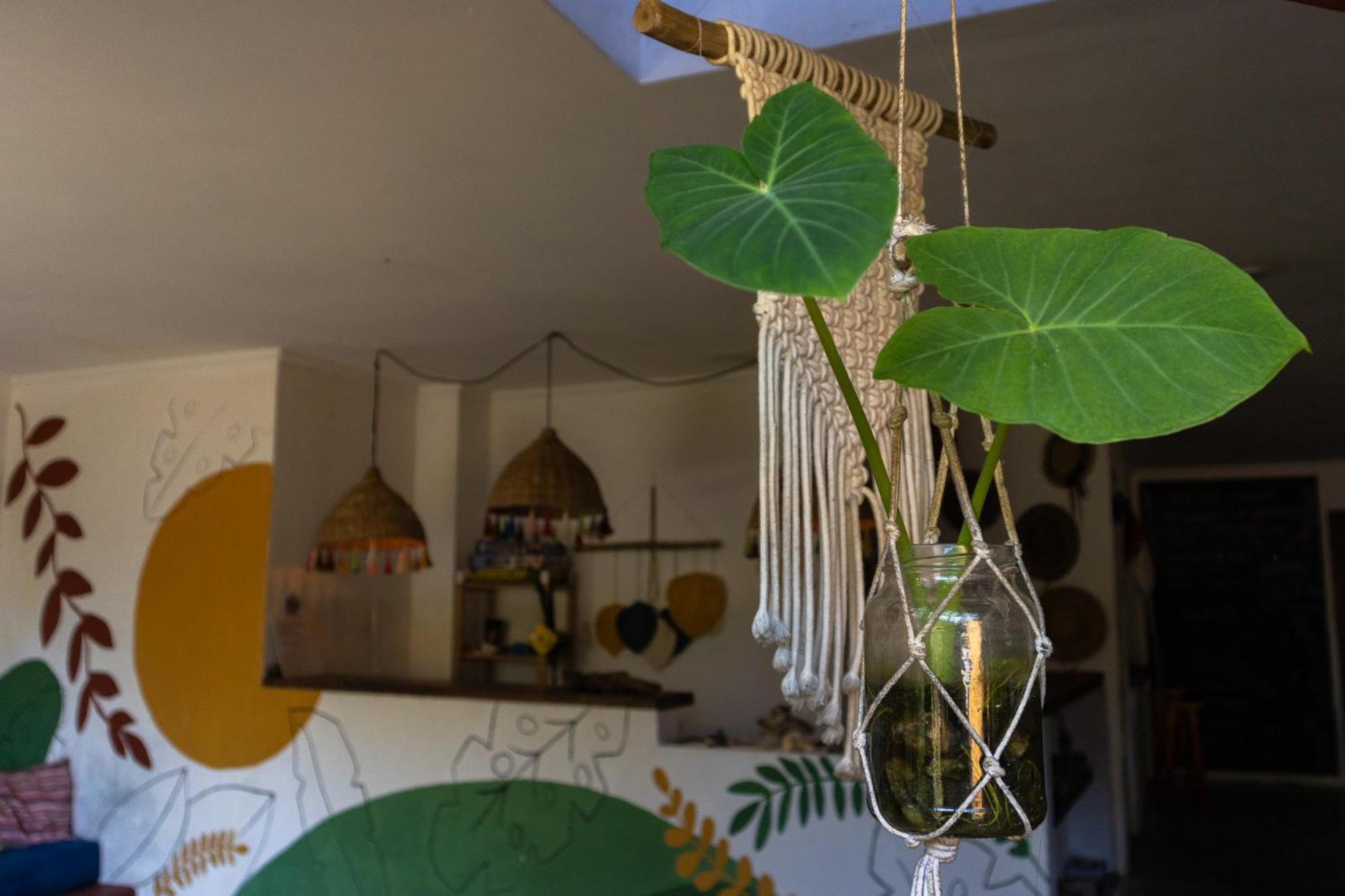Sambaqui Hostel Ilhabela Buitenkant foto